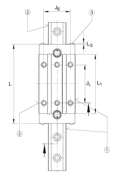 INA 滚子单轨引导系统 RUE55-E-KT-HL, 链引导的高窄长系列滑块，油或脂润滑；可提供耐腐蚀设计